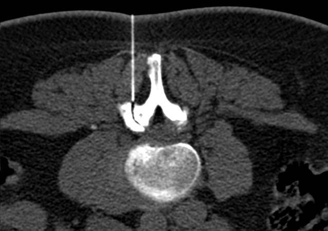 graphic file with name 117_2021_850_Fig2_HTML.jpg