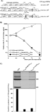 FIG. 7.