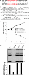 FIG. 3.
