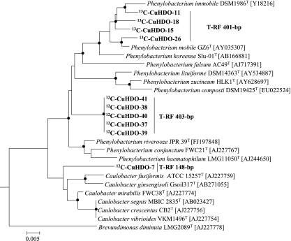 FIG. 7.