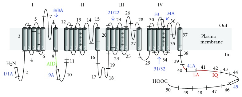 Figure 1