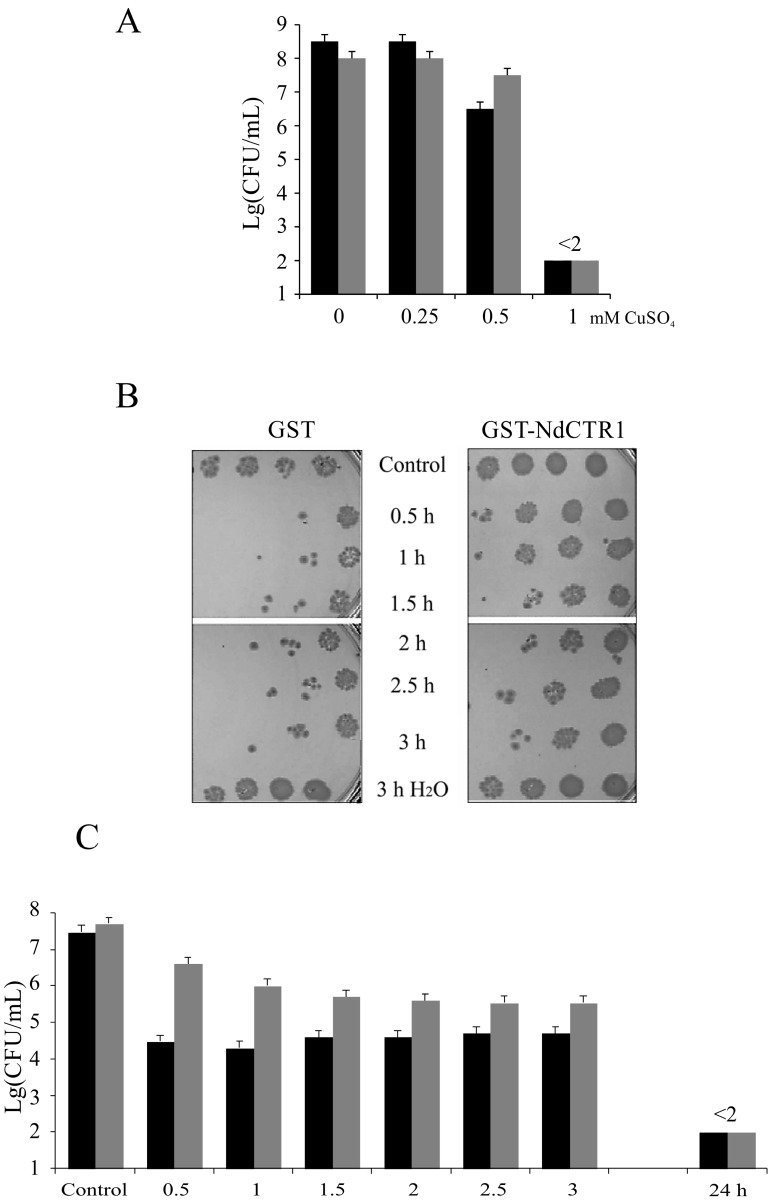 Figure 2