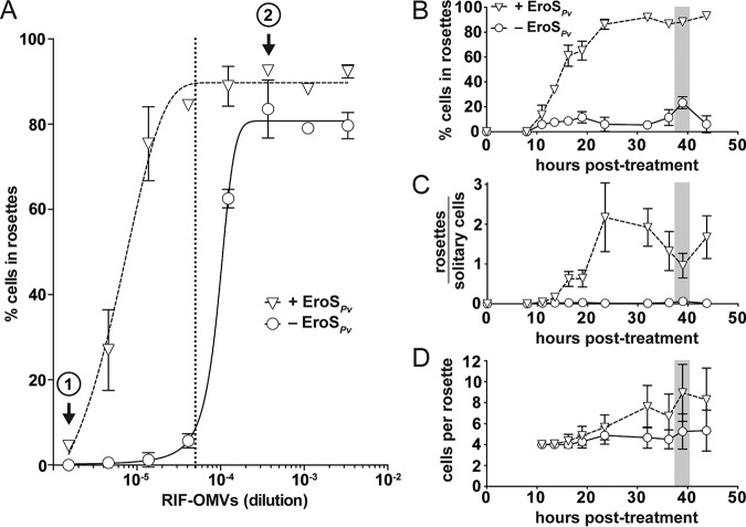 FIG 2