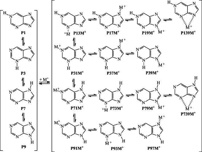 Scheme 2