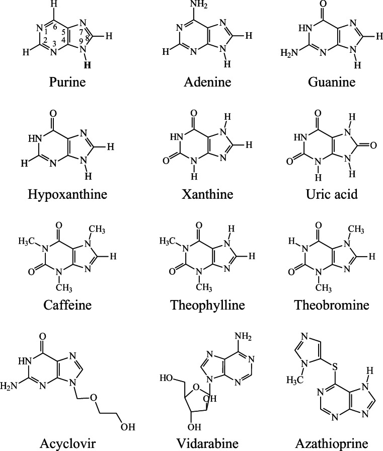 Fig. 1