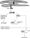 Fig. (1)