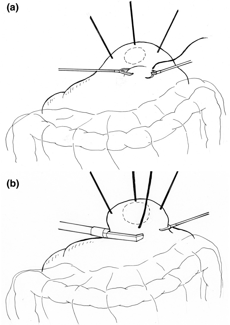 Fig. 2