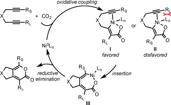 Scheme 4