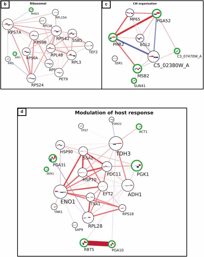 Figure 5b.