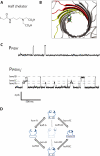 FIGURE 10.