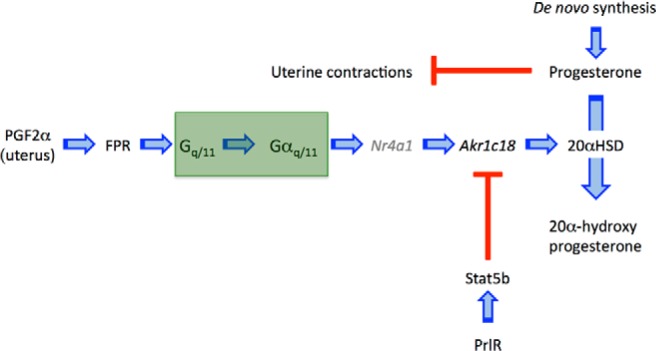 Figure 7.