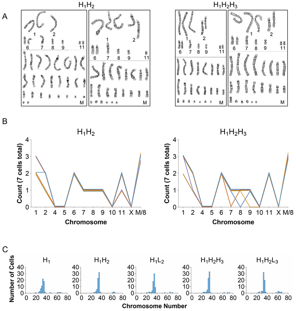 Figure 2.