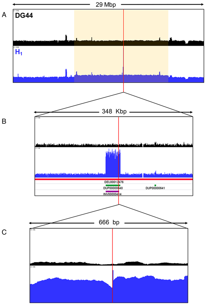 Figure 6.