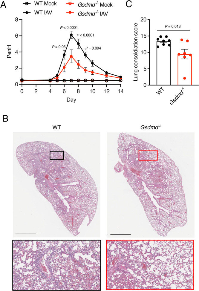 Fig. 2