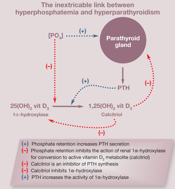 graphic file with name 10.1016_j.jfms.2009.09.012-fig4.jpg