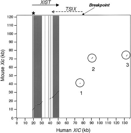 Figure  4