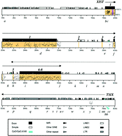 Figure  1