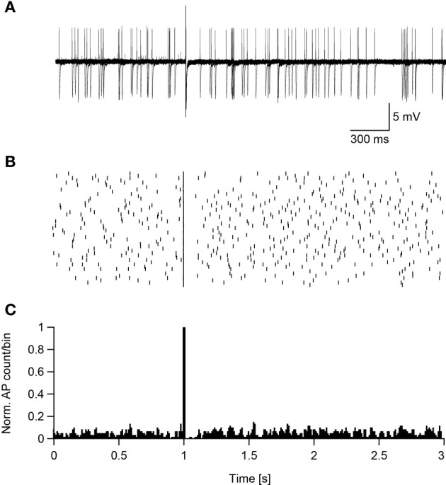 Figure 7