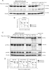 FIGURE 11.