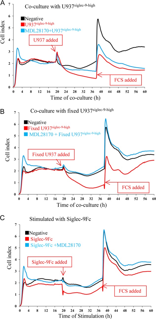 FIGURE 10.