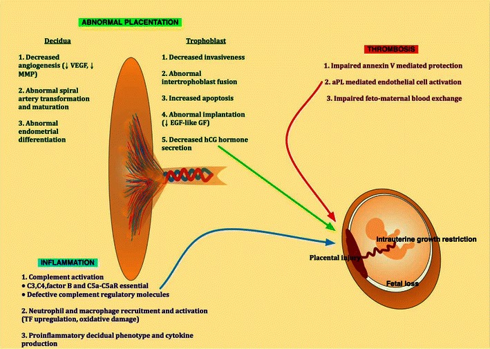 Fig. 2