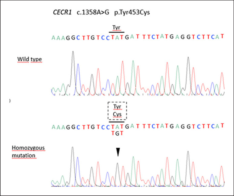 Fig. 3