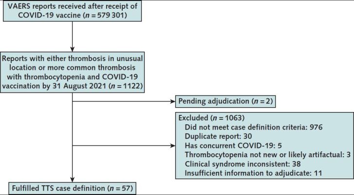 Figure. Reports to VAERS confirmed to be TTS—United States, December 2020 to August 2021. TTS = thrombosis with thrombocytopenia syndrome; VAERS = Vaccine Adverse Event Reporting System.