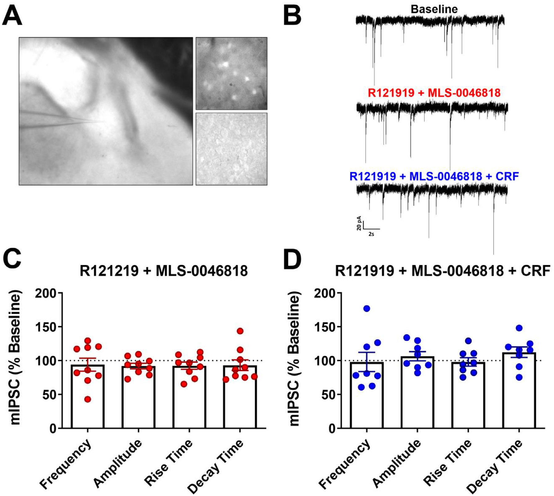 Fig. 8.