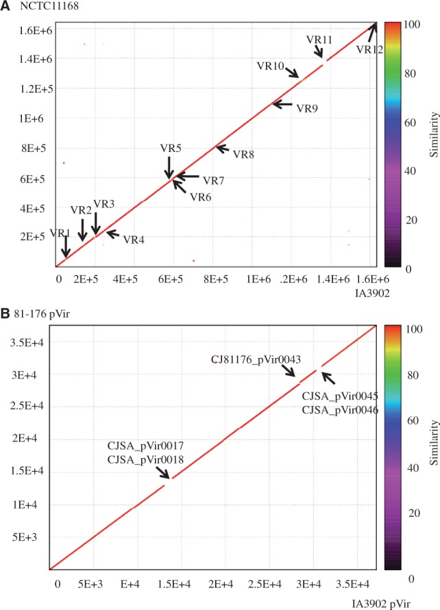 Fig. 2.—