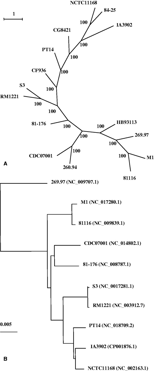 Fig. 1.—