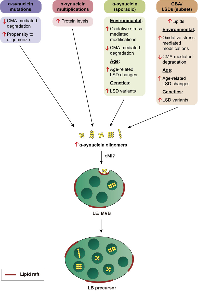 FIGURE 3