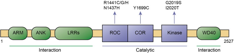 FIGURE 1