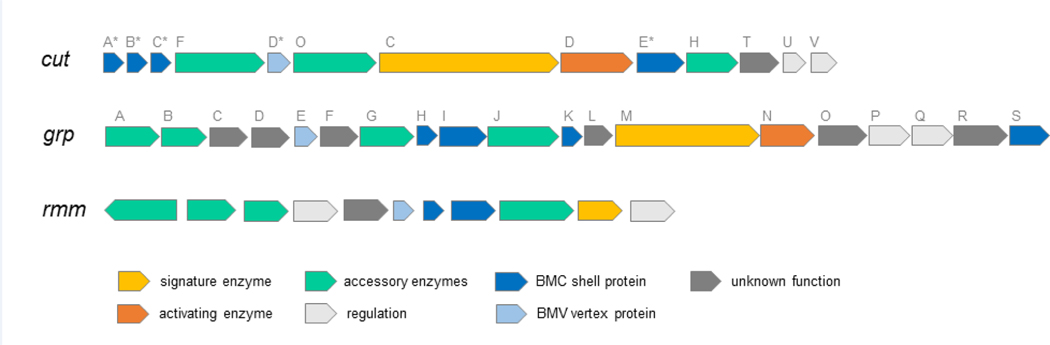 Figure 2: