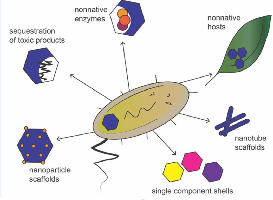 Figure 4: