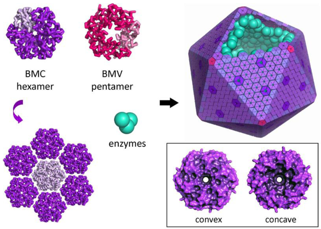 Figure 3: