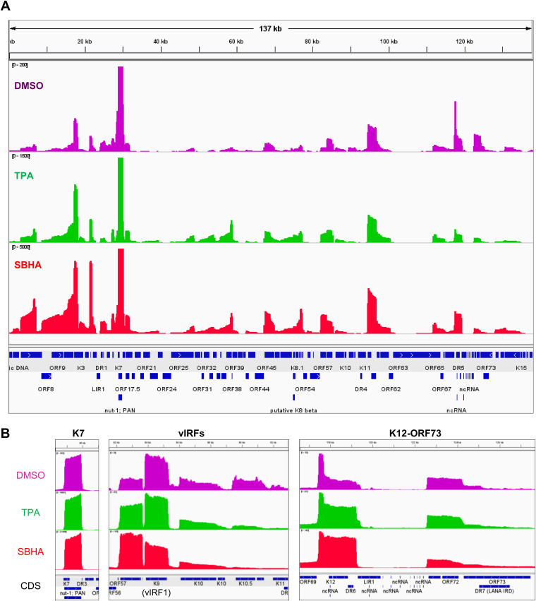 FIG 3