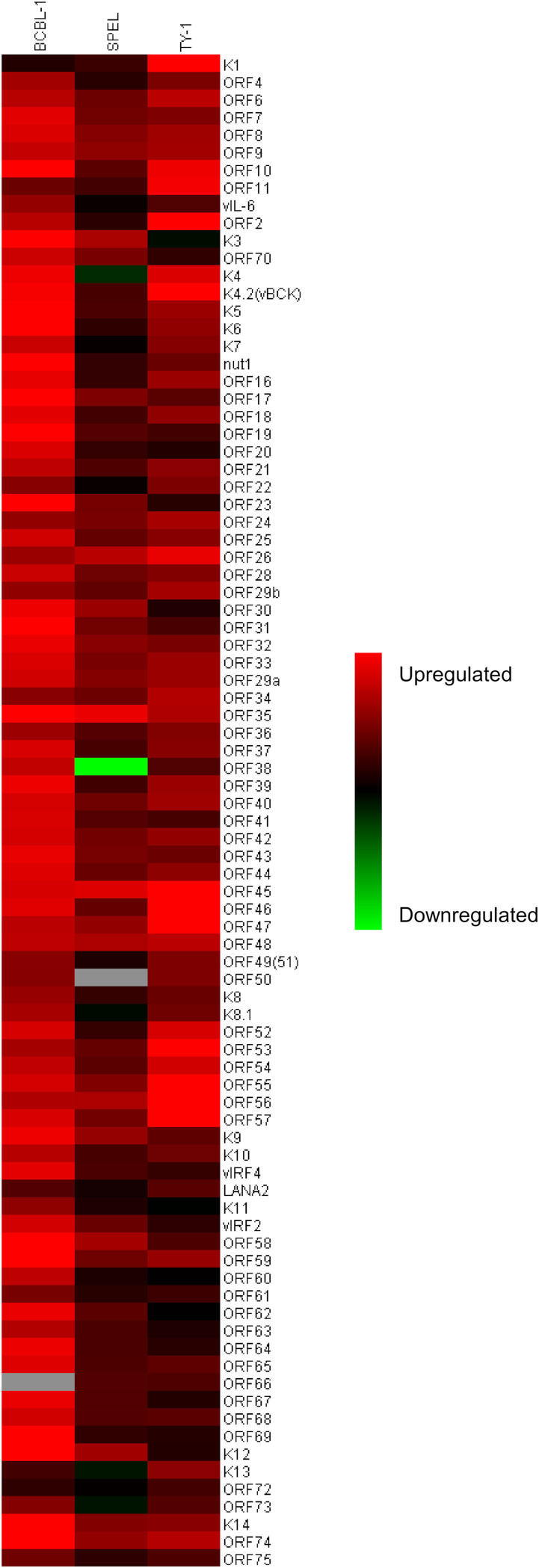 FIG 2