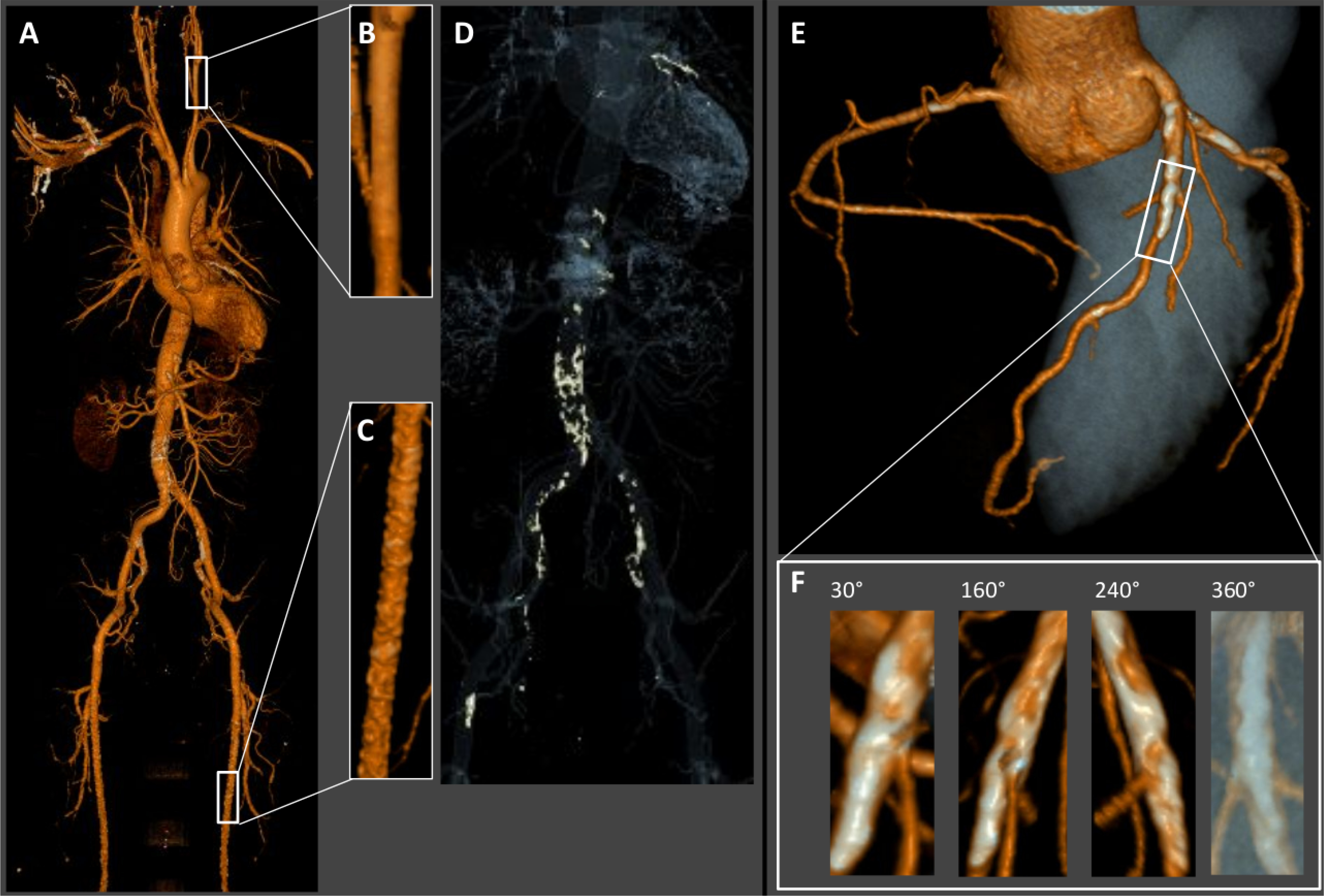 Figure 6.