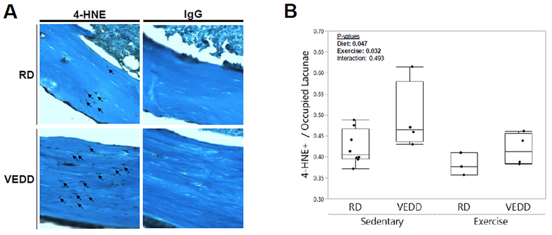 Figure 6: