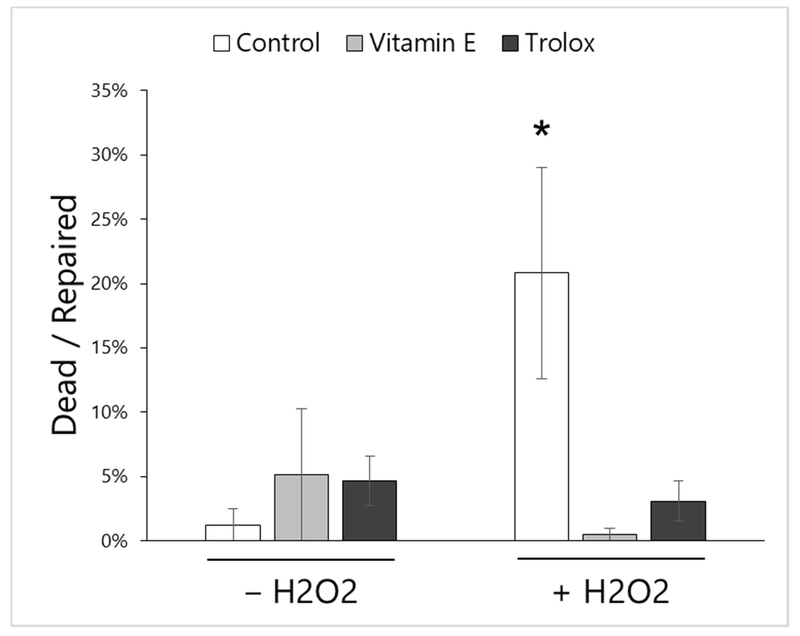 Figure 7: