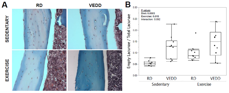 Figure 5: