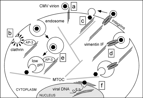 FIG. 8.