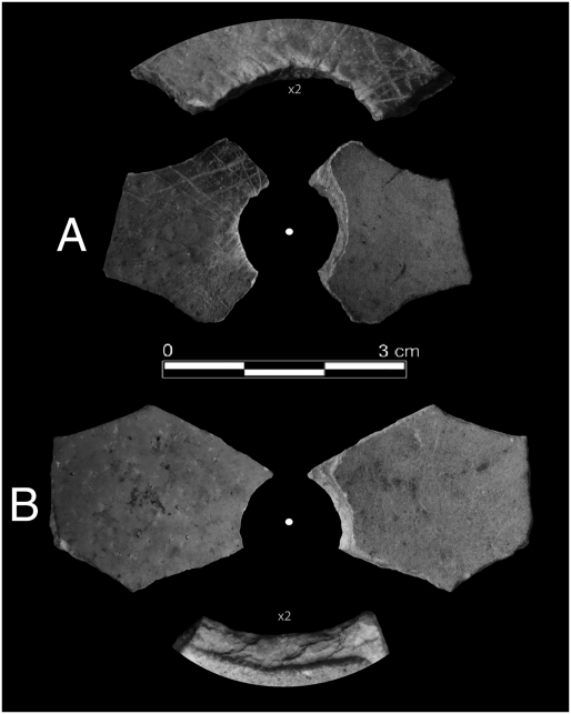 Fig. 5.