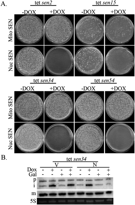 Figure 6.