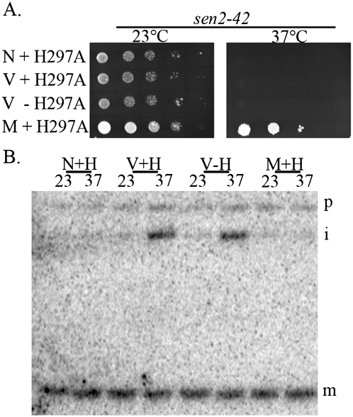 Figure 7.