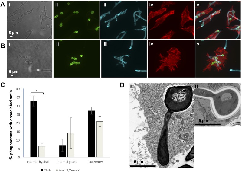 FIG 6 