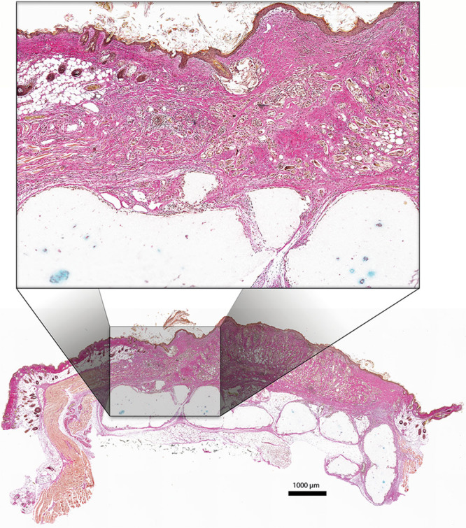 Fig. 4.