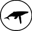 graphic file with name 11160_2022_9700_Figs_HTML.gif