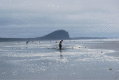 graphic file with name 11160_2022_9700_Figt_HTML.gif