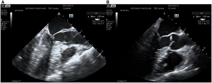 Figure 2: